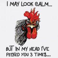 I May Look Calm Chicken Funny Rooster Tee Flat Bill Trucker Hat