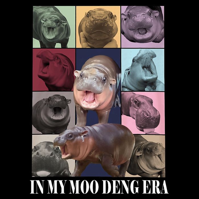 In My Moo Deng Era  Moo Deng Lover Premium T-Shirt