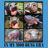 In My Moo Deng Era  Moo Deng Lover Tie Dye Hoodie