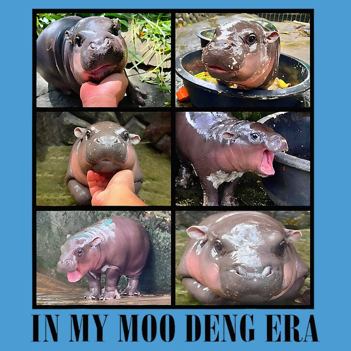 In My Moo Deng Era  Moo Deng Lover Tie Dye Hoodie