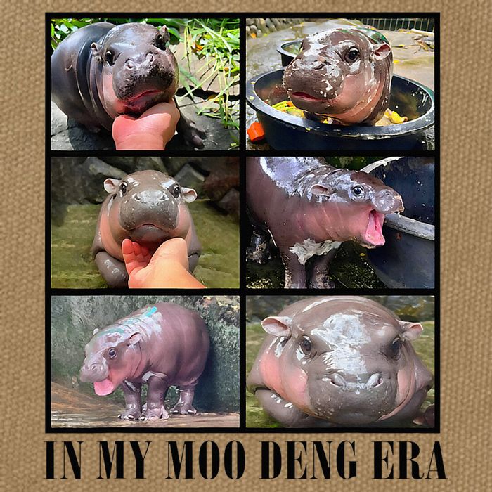 In My Moo Deng Era  Moo Deng Lover Cotton Canvas Backpack