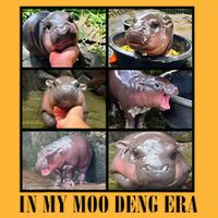 In My Moo Deng Era  Moo Deng Lover Pom Pom 12in Knit Beanie