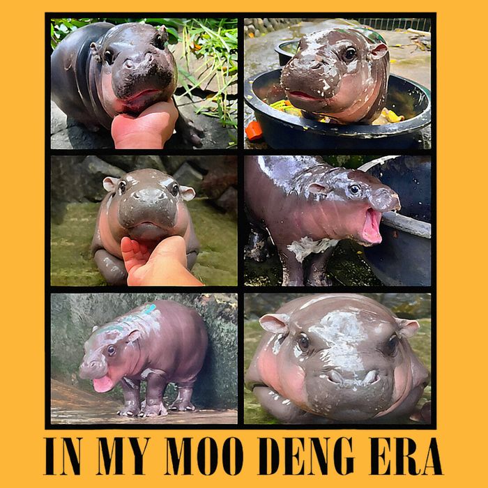 In My Moo Deng Era  Moo Deng Lover Pom Pom 12in Knit Beanie