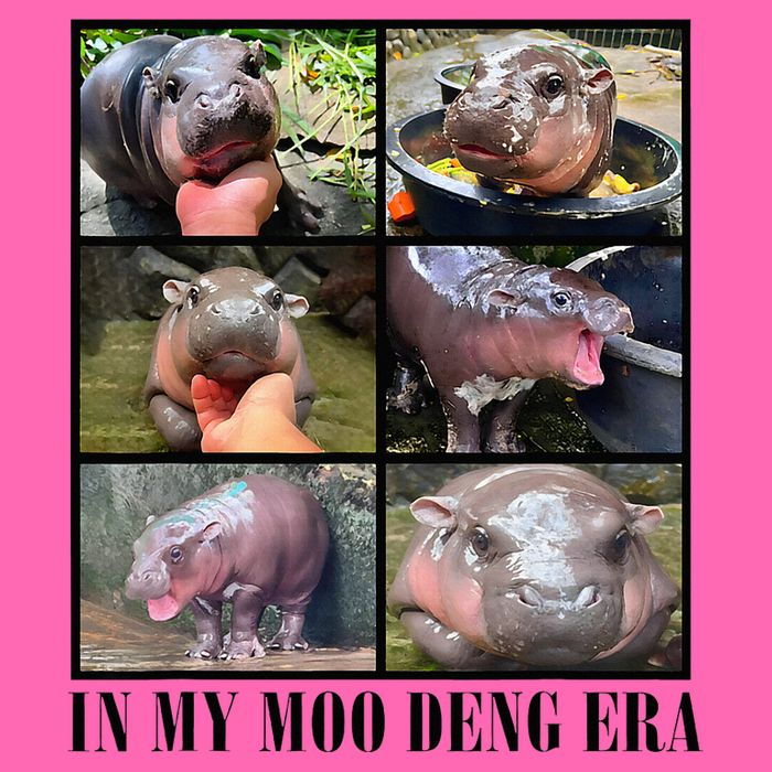 In My Moo Deng Era  Moo Deng Lover Stripe Pom Pom Beanie