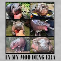 In My Moo Deng Era  Moo Deng Lover Ladies PosiCharge Tri-Blend Wicking Tank