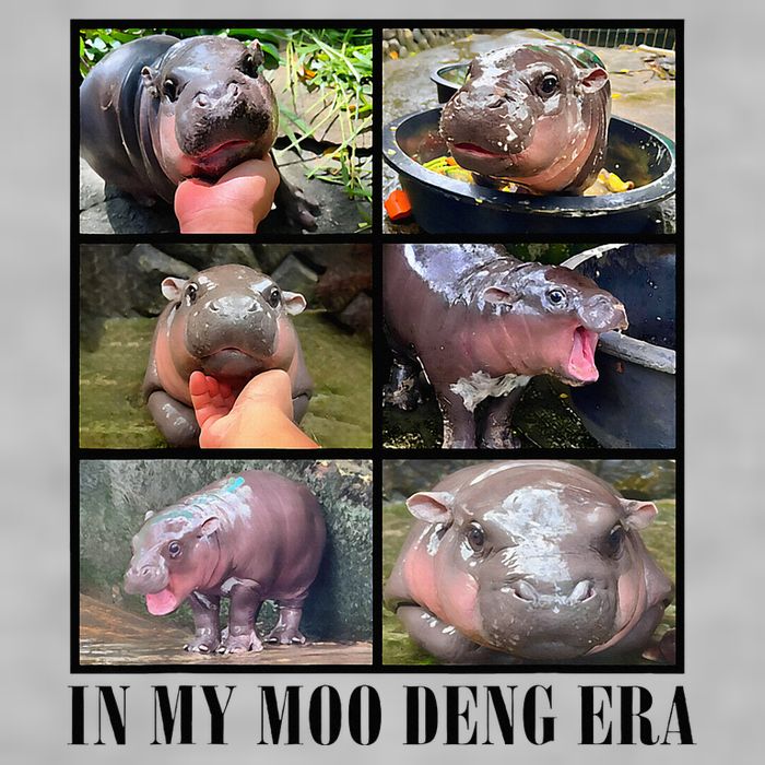 In My Moo Deng Era  Moo Deng Lover Ladies PosiCharge Tri-Blend Wicking Tank