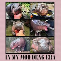 In My Moo Deng Era  Moo Deng Lover 25L Jumbo Tote