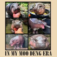 In My Moo Deng Era  Moo Deng Lover Zip Tote Bag