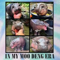 In My Moo Deng Era  Moo Deng Lover Legacy Tie Dye Trucker Hat