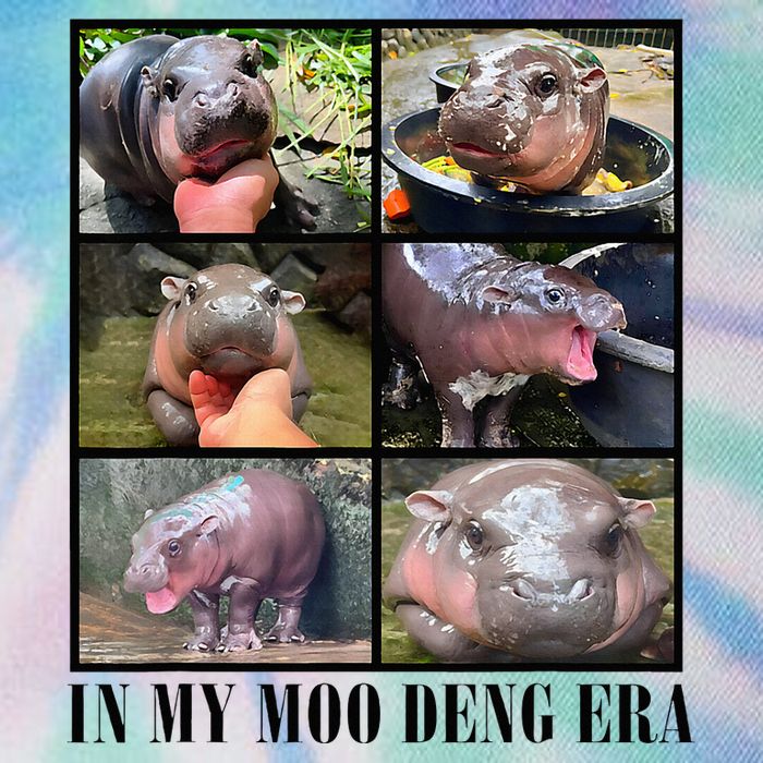 In My Moo Deng Era  Moo Deng Lover Legacy Tie Dye Trucker Hat