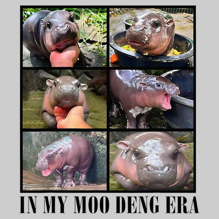 In My Moo Deng Era  Moo Deng Lover Tie-Dye T-Shirt