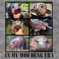 In My Moo Deng Era  Moo Deng Lover Toddler Sweatshirt