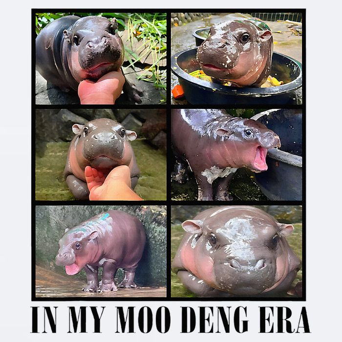 In My Moo Deng Era  Moo Deng Lover Sueded Cloud Jersey T-Shirt