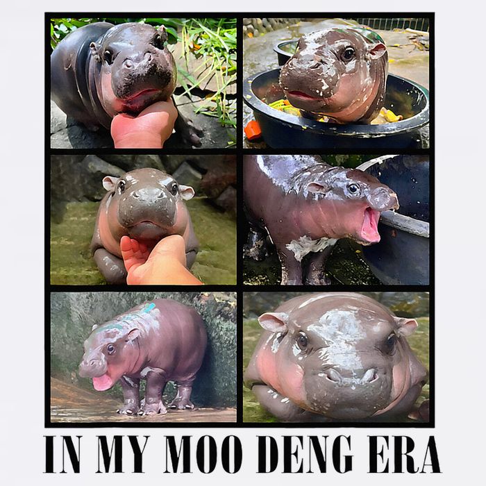 In My Moo Deng Era  Moo Deng Lover Flat Bill Trucker Hat