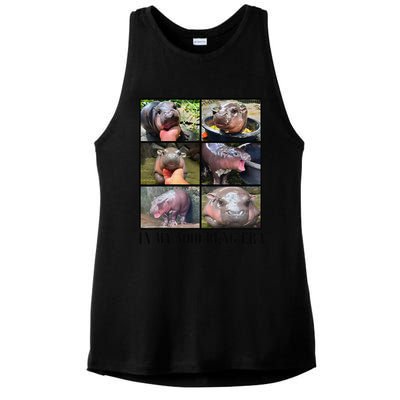 In My Moo Deng Era  Moo Deng Lover Gift Ladies PosiCharge Tri-Blend Wicking Tank