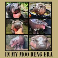 In My Moo Deng Era  Moo Deng Lover Gift Cooling Performance Crew T-Shirt