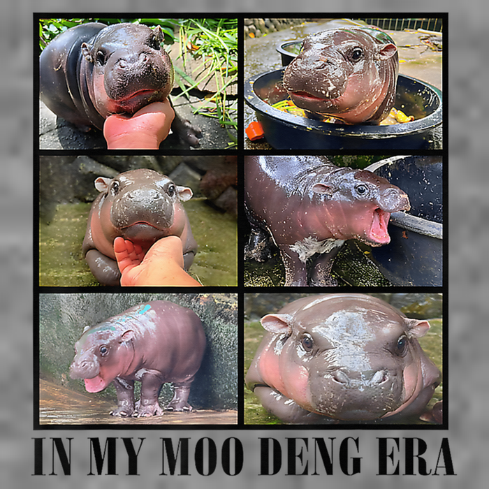 In My Moo Deng Era  Moo Deng Lover Loves Moo Deng Meme 7-Panel Snapback Hat