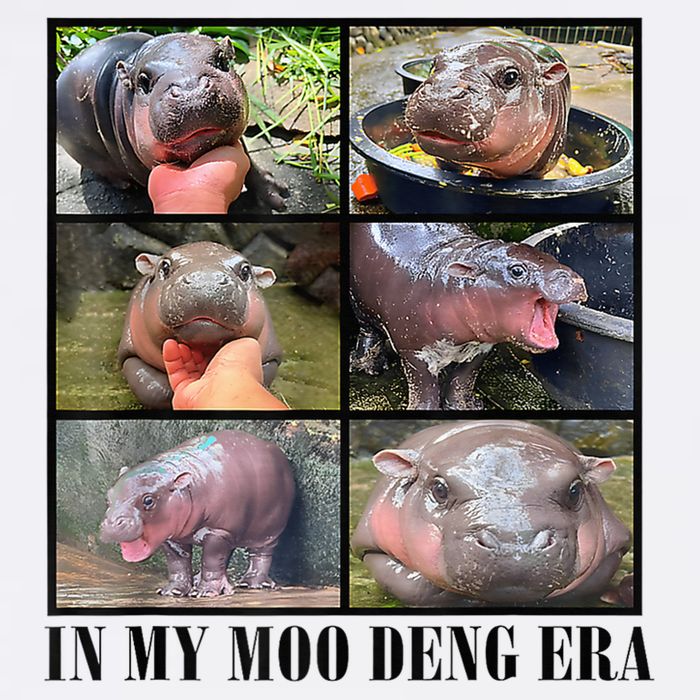 In My Moo Deng Era  Moo Deng Lover Loves Moo Deng Meme Knit Cap Winter Beanie