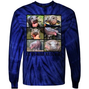 In My Moo Deng Era  Moo Deng Lover Tie-Dye Long Sleeve Shirt