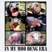 In My Moo Deng Era  Moo Deng Lover Tank Top