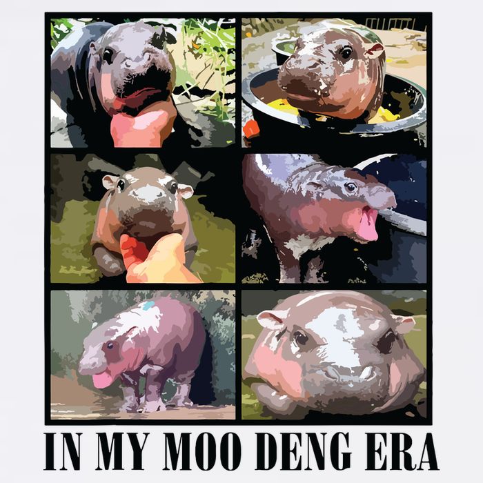 In My Moo Deng Era  Moo Deng Lover Tank Top