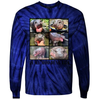 In My Moo Deng Era  Moo Deng Lover Tie-Dye Long Sleeve Shirt