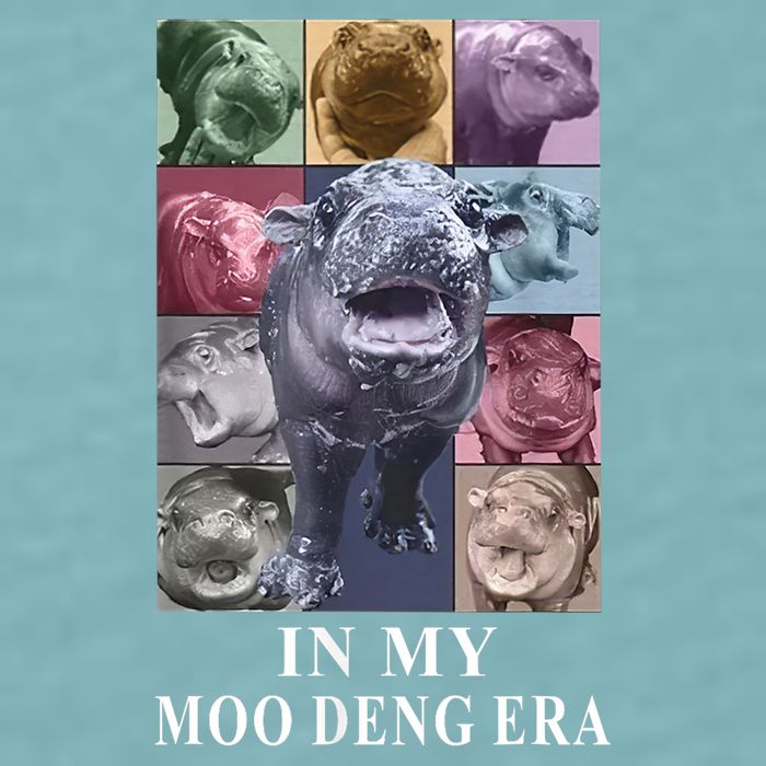 In My Moo Deng Hippo Pygmy Hippopotamus Sueded Cloud Jersey T-Shirt