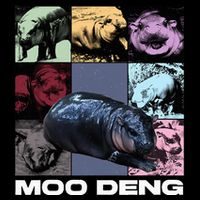 In My Moo Deng Era Funny Cute Baby Hippo Wool Snapback Cap