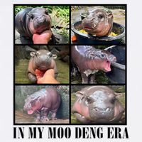 In My Moo Deng Era  Moo Deng Lover Flat Bill Trucker Hat
