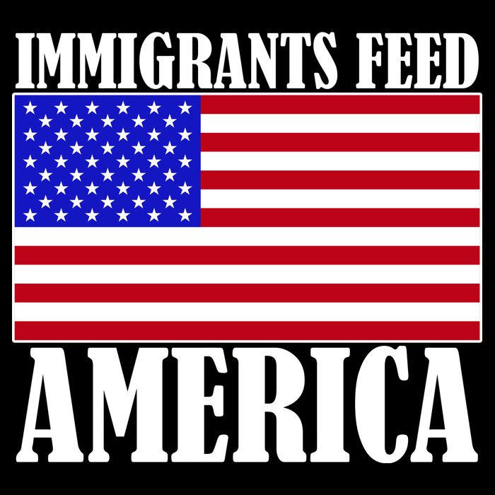 Immigrants Feed America US Flag City Backpack