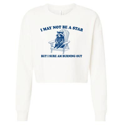 I May Not Be A Star Raccoon Meme – Funny Trash Panda Self-Deprecating Cropped Pullover Crew