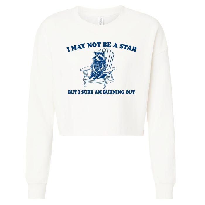 I May Not Be A Star Raccoon Meme – Funny Trash Panda Self-Deprecating Cropped Pullover Crew