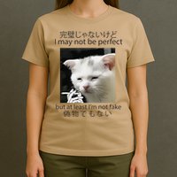 I May Not Be Perfect But At Least Im Not Fake Cat Meme T-Shirt