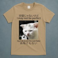 I May Not Be Perfect But At Least Im Not Fake Cat Meme T-Shirt