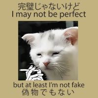 I May Not Be Perfect But At Least Im Not Fake Cat Meme T-Shirt