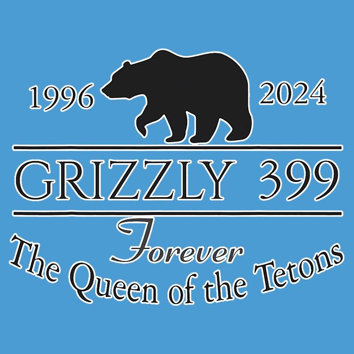 In Memory Of Bear 399 Forever Queen Of The Tetons Tie Dye Hoodie