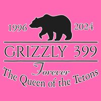 In Memory Of Bear 399 Forever Queen Of The Tetons Stripe Pom Pom Beanie