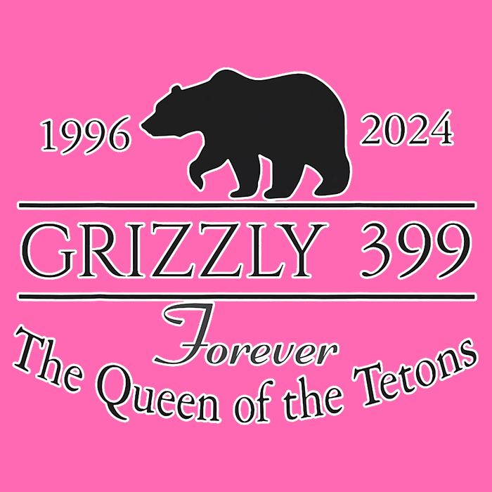 In Memory Of Bear 399 Forever Queen Of The Tetons Stripe Pom Pom Beanie