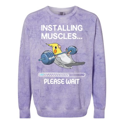 Installing Muscles Parrot Cockatiel Funny Gym Weightlifting Great Gift Colorblast Crewneck Sweatshirt