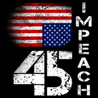 Impeach 45 Upside down Flag  16 in Basic Backpack