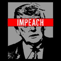 Impeach President Donald Trump Anti Trump Resist 16 in Basic Backpack