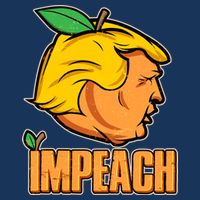 Impeach Trump Anti Trump Impeachment 16 in Basic Backpack