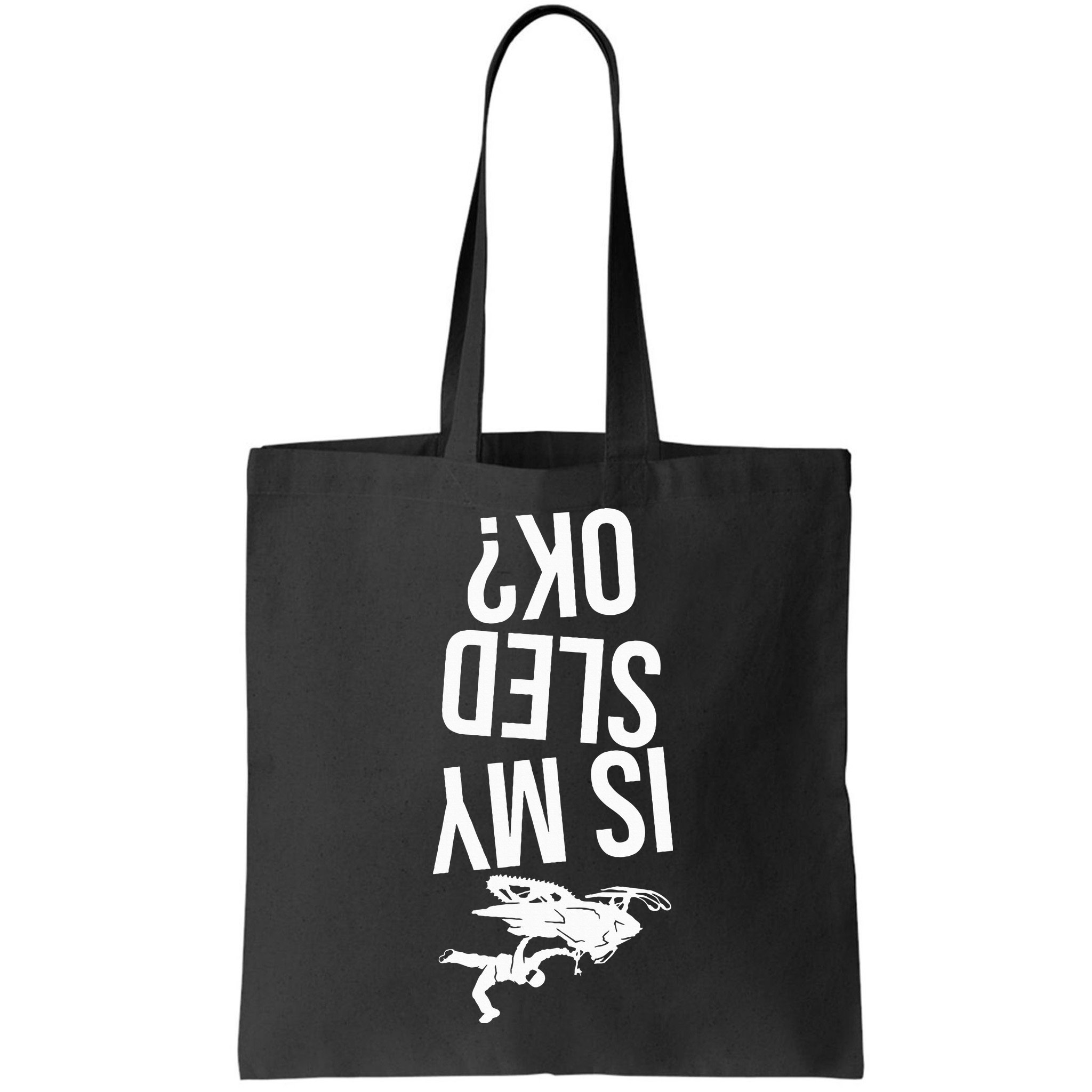 Is My Sled Ok Snowmobile Bag