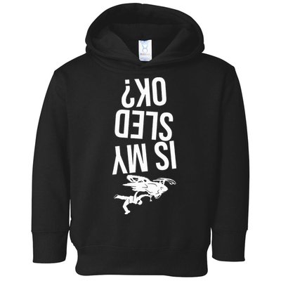 Is My Sled Ok Snowmobile Toddler Hoodie