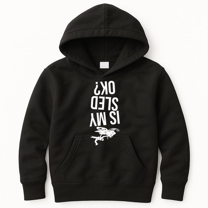 Is My Sled Ok Snowmobile Kids Hoodie