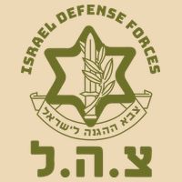 Israeli Military Symbol  Hebrew IDF Design Zip Tote Bag