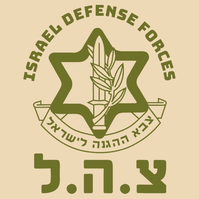 Israeli Military Symbol  Hebrew IDF Design Zip Tote Bag