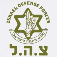 Israeli Military Symbol  Hebrew IDF Design Premium T-Shirt