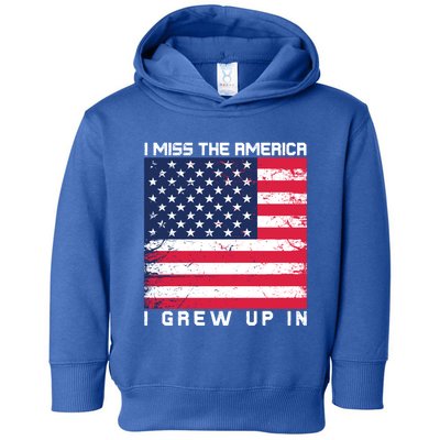 I Miss The America I Grew Up In Grunge Gift Toddler Hoodie