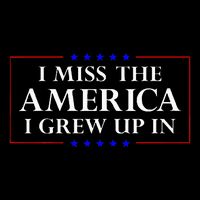 I Miss The America I Grew Up In American Flag 16oz Travel Tumbler